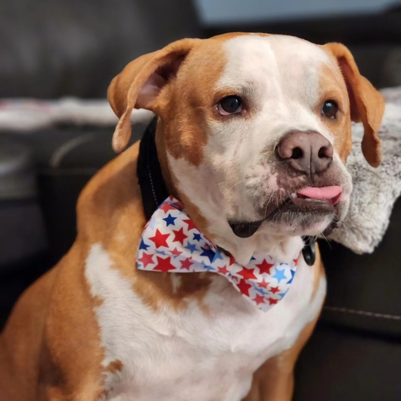 Meet your Posher, Ahyeon - Picture 3 of 3